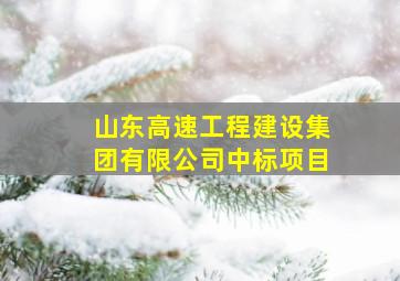 山东高速工程建设集团有限公司中标项目