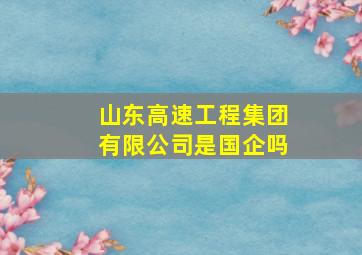 山东高速工程集团有限公司是国企吗