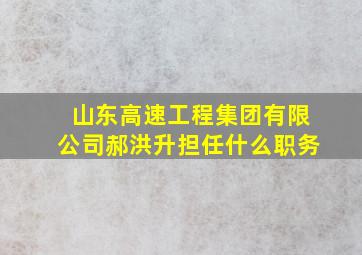 山东高速工程集团有限公司郝洪升担任什么职务