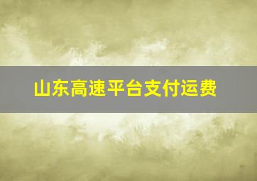 山东高速平台支付运费