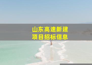 山东高速新建项目招标信息