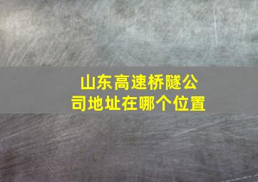 山东高速桥隧公司地址在哪个位置