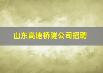 山东高速桥隧公司招聘