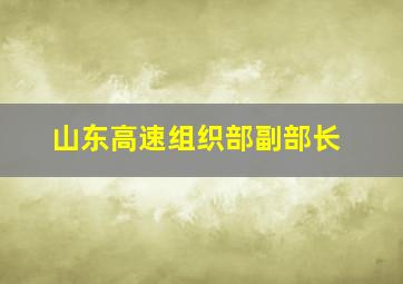 山东高速组织部副部长