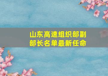 山东高速组织部副部长名单最新任命