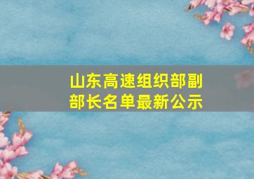 山东高速组织部副部长名单最新公示