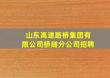 山东高速路桥集团有限公司桥隧分公司招聘