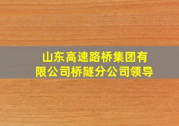 山东高速路桥集团有限公司桥隧分公司领导