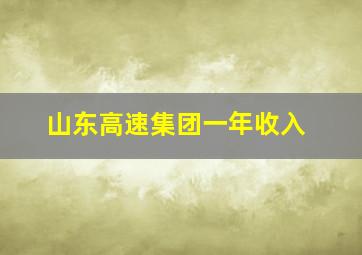 山东高速集团一年收入