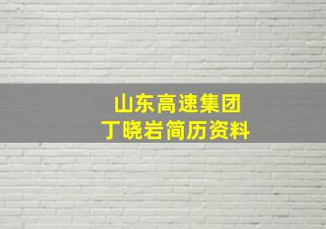 山东高速集团丁晓岩简历资料