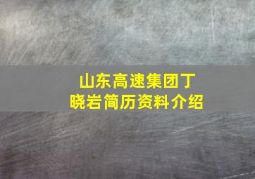 山东高速集团丁晓岩简历资料介绍