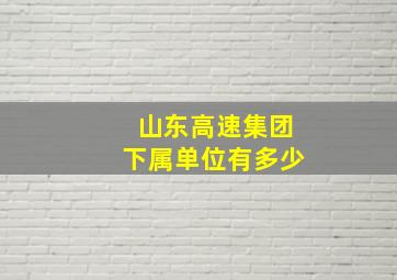 山东高速集团下属单位有多少