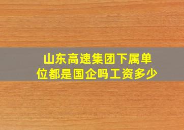 山东高速集团下属单位都是国企吗工资多少