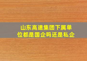 山东高速集团下属单位都是国企吗还是私企