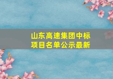 山东高速集团中标项目名单公示最新