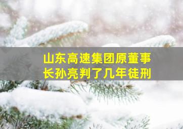 山东高速集团原董事长孙亮判了几年徒刑