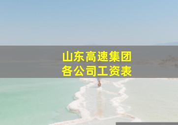 山东高速集团各公司工资表