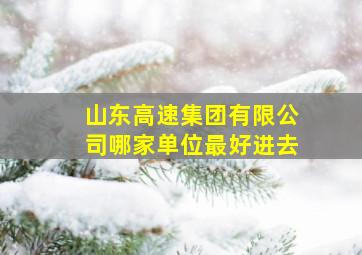 山东高速集团有限公司哪家单位最好进去