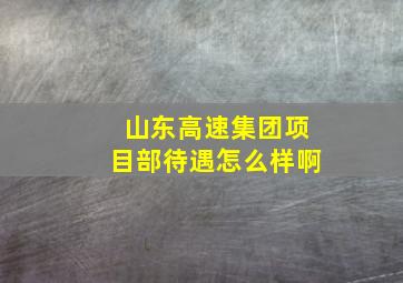 山东高速集团项目部待遇怎么样啊