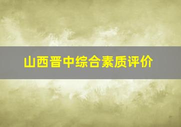 山西晋中综合素质评价