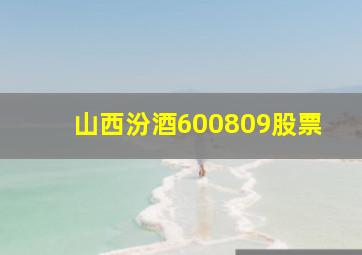 山西汾酒600809股票