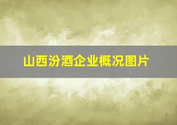 山西汾酒企业概况图片