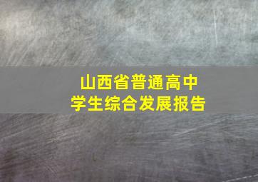 山西省普通高中学生综合发展报告