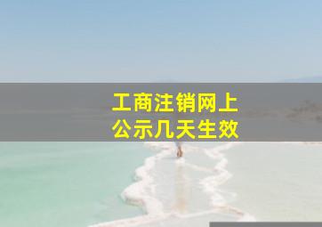 工商注销网上公示几天生效