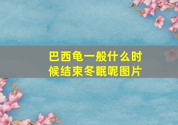 巴西龟一般什么时候结束冬眠呢图片