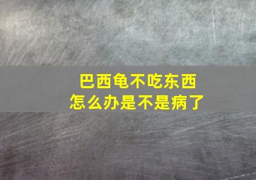 巴西龟不吃东西怎么办是不是病了