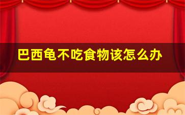 巴西龟不吃食物该怎么办