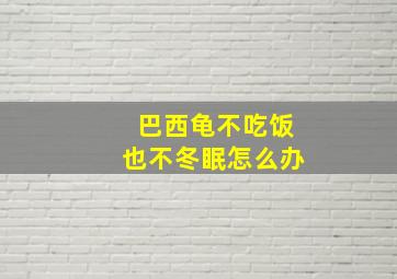 巴西龟不吃饭也不冬眠怎么办