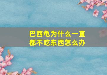 巴西龟为什么一直都不吃东西怎么办