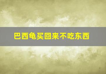 巴西龟买回来不吃东西