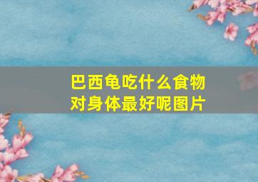 巴西龟吃什么食物对身体最好呢图片