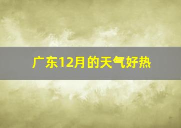 广东12月的天气好热