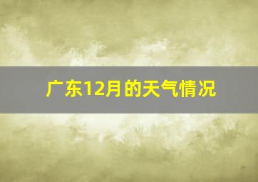 广东12月的天气情况