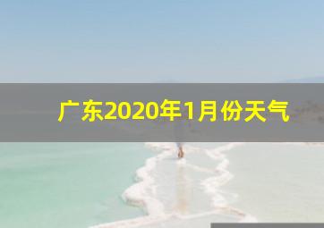 广东2020年1月份天气