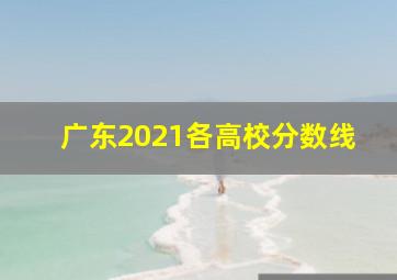 广东2021各高校分数线