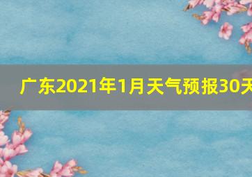 广东2021年1月天气预报30天