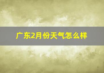 广东2月份天气怎么样