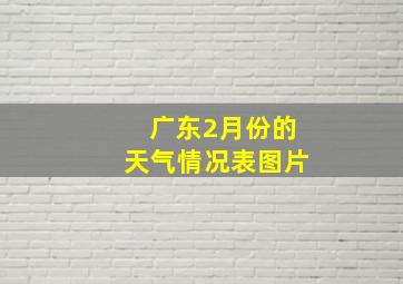 广东2月份的天气情况表图片