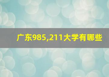 广东985,211大学有哪些