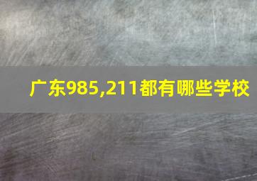 广东985,211都有哪些学校