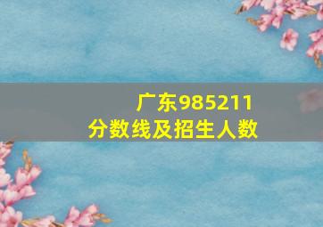 广东985211分数线及招生人数