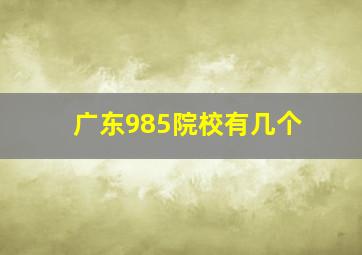 广东985院校有几个