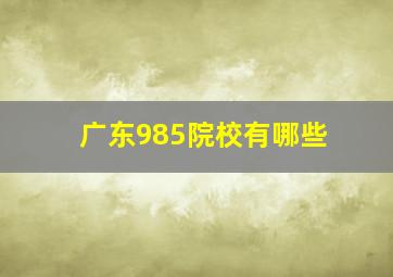 广东985院校有哪些