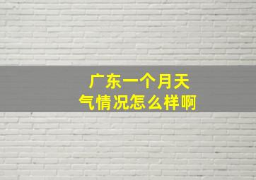 广东一个月天气情况怎么样啊