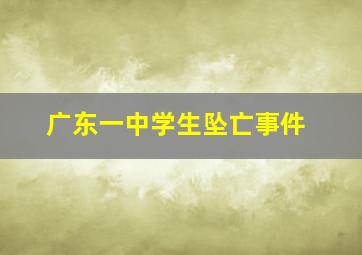 广东一中学生坠亡事件