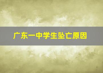 广东一中学生坠亡原因